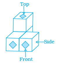 Page 182 Chapter 6 Class 8th NCERT Exemplar